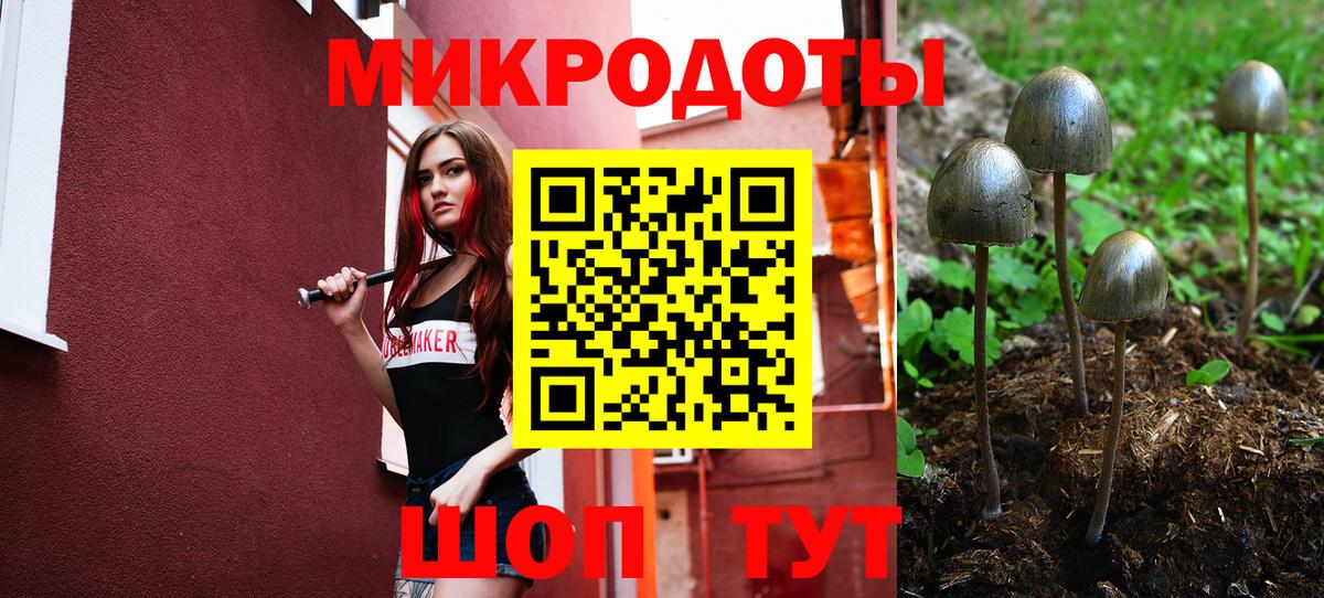 Галлюциногенные грибы Cubensis  Вход с VPN  Псилоцибиновые грибы Magic Shrooms  Унеча 