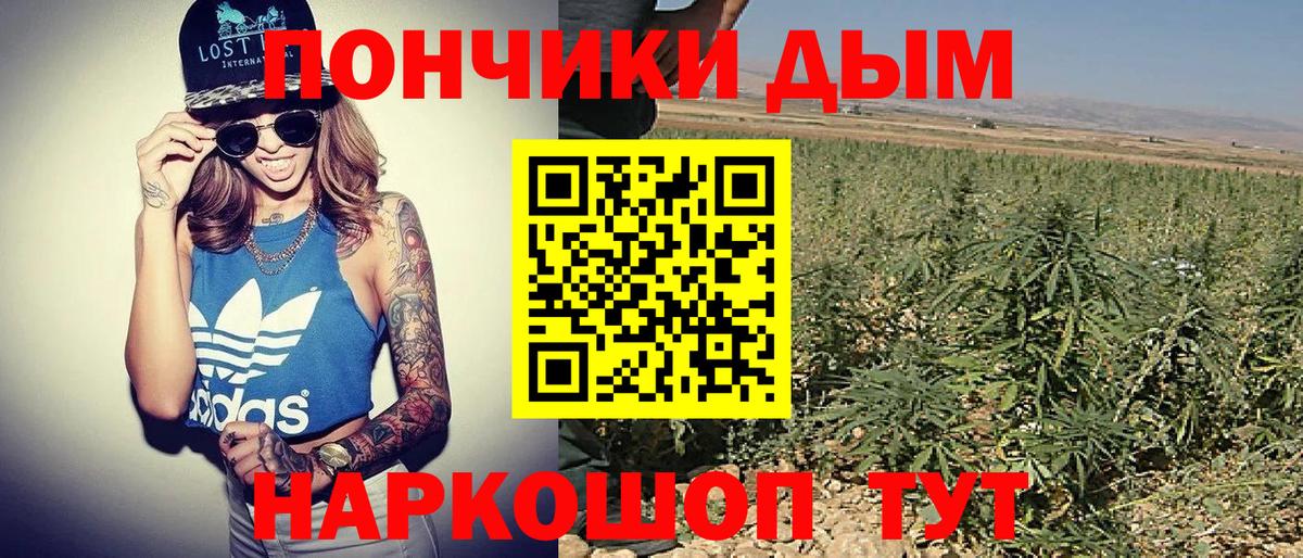 Унеча  Каннабис марихуана  Вход с VPN  Бошки марихуана сатива  Каннабис планчик 